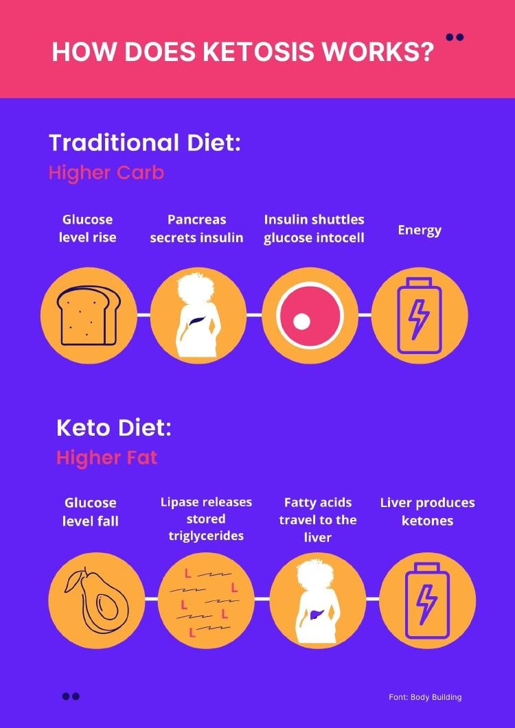 Infographics about HOW DOES KETOSYS WORKS