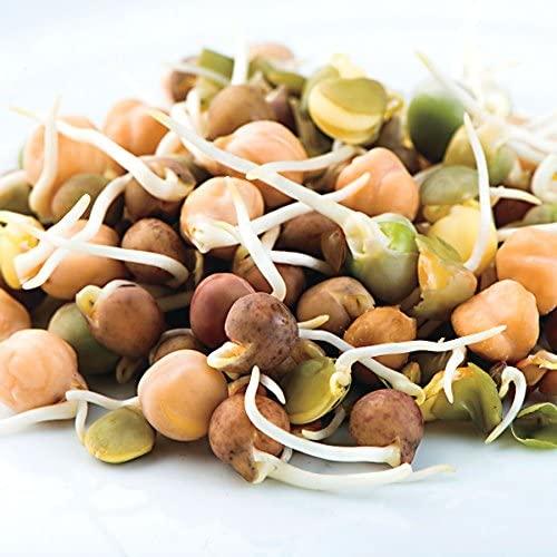 51PuiArV+QL._AC_ 51PuiArV+QL._AC_