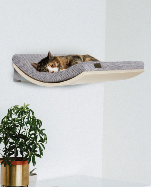 Captura de pantalla 2022-01-30 a la(s) 21.17.18 cat scratcher