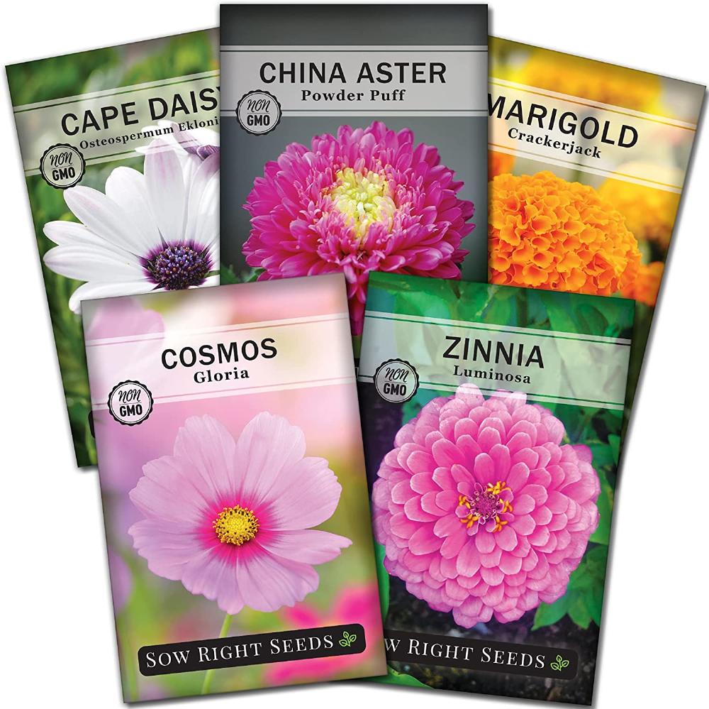 Flower Seeds The Best Options for a Beautiful Garden Sustainable
