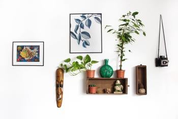 Plant Lovers: 10 Best Holiday Gifts for Green Thumbs 