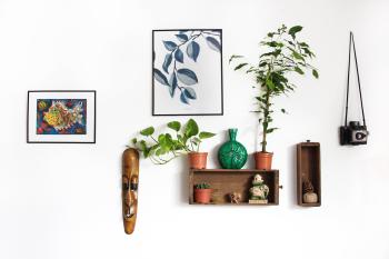 Plant Lovers: 10 Best Holiday Gifts for Green Thumbs