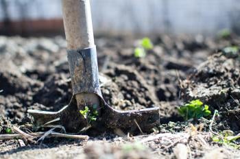 Ashes In Your Compost? What Are The Dos and Don'ts