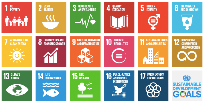 Sustainable Development Goals (SDG): How to Put Them In Practice?