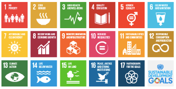 Sustainable Development Goals (SDG): How to Put Them In Practice?