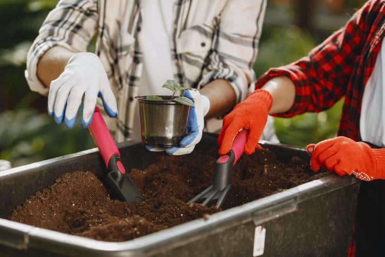 two people using compost two people using compost