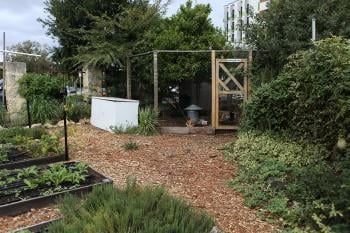 wide garden with a gardening place