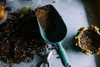 7 Tips you need to know for Home Composting: How to Start?