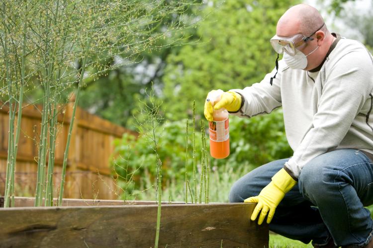 a man with protective gear watering the plants in a garden a man with protective gear watering the plants in a garden