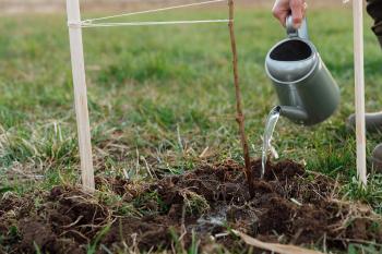 man watering outdoor soil