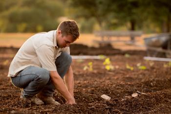 Complete Guide on Where to buy bulk compost near you