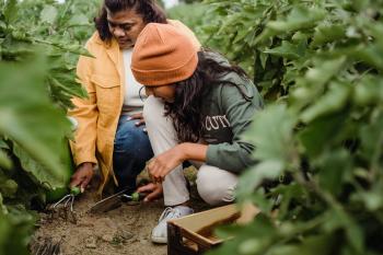 Easy And Quickly Steps To Begin Composting In Garden Today