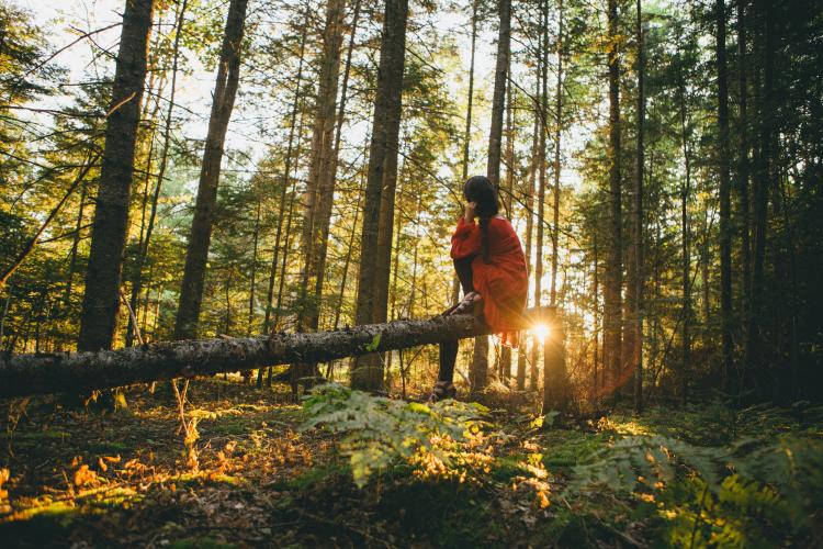 A woman in a forest with a red dress A woman in a forest with a red dress