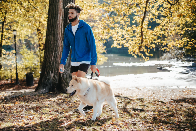 image picture of afro american man walking his dog in the park
