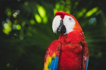 10 Science - based Facts you Should Know about Biodiversity
