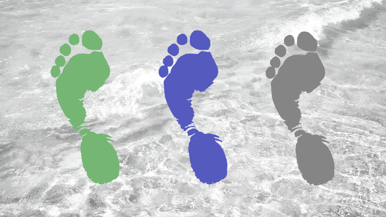 footprint Footprint colors
