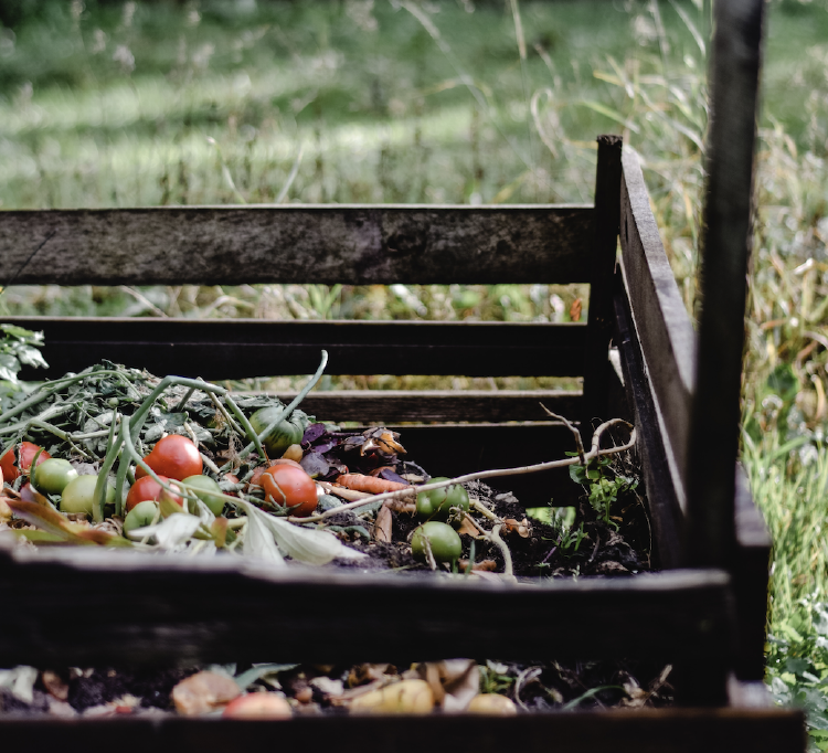 Captura_de_Pantalla_2021-03-16_a_la(s)_17.22.06 Captura_de_Pantalla_2021-03-16_a_la(s)_17.22.06