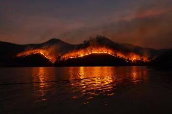 Australia Fires: what caused them? and what is it impact on the environment?