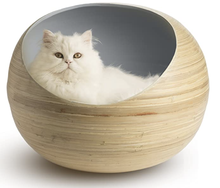 Captura de pantalla 2022-01-07 a la(s) 13.45.25 3