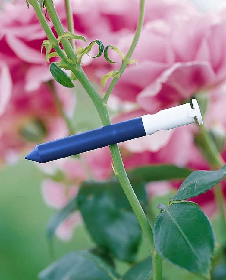 pesticide 1 pesticide 1