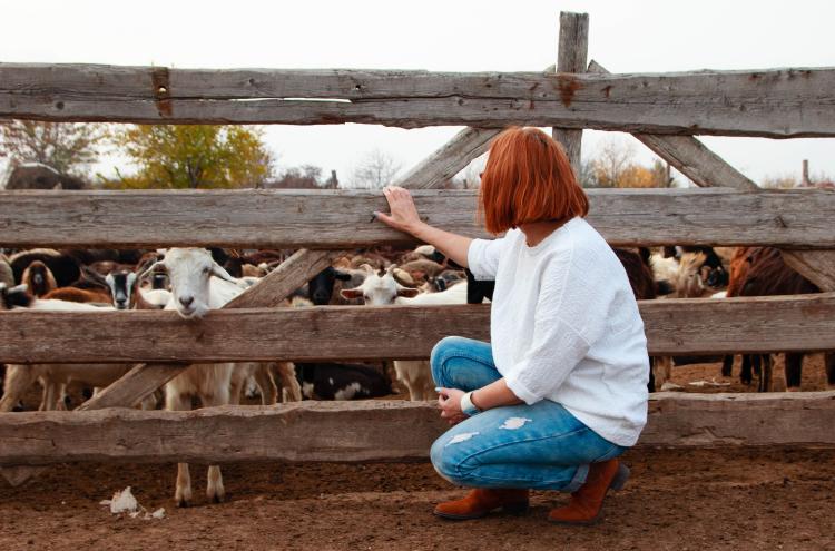 A woman squatting looking to goats over a fence