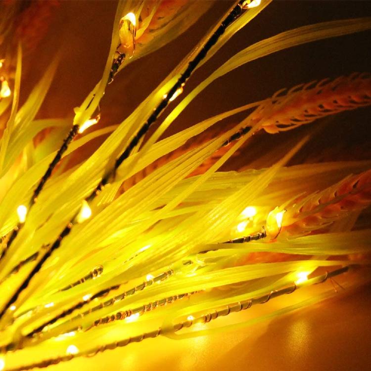 61XfBvFr05L._AC_SL1000_ 61XfBvFr05L._AC_SL1000_