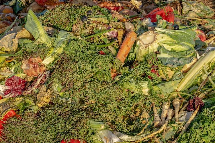 a pile of compost doing what it does best: composting