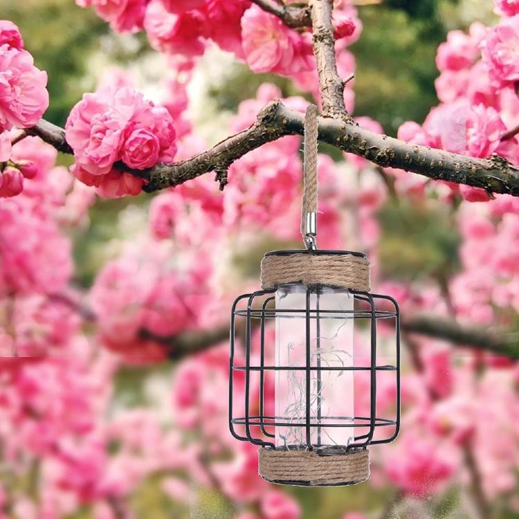 61DXRQ8Kt9L._AC_SL1000_ 61DXRQ8Kt9L._AC_SL1000_